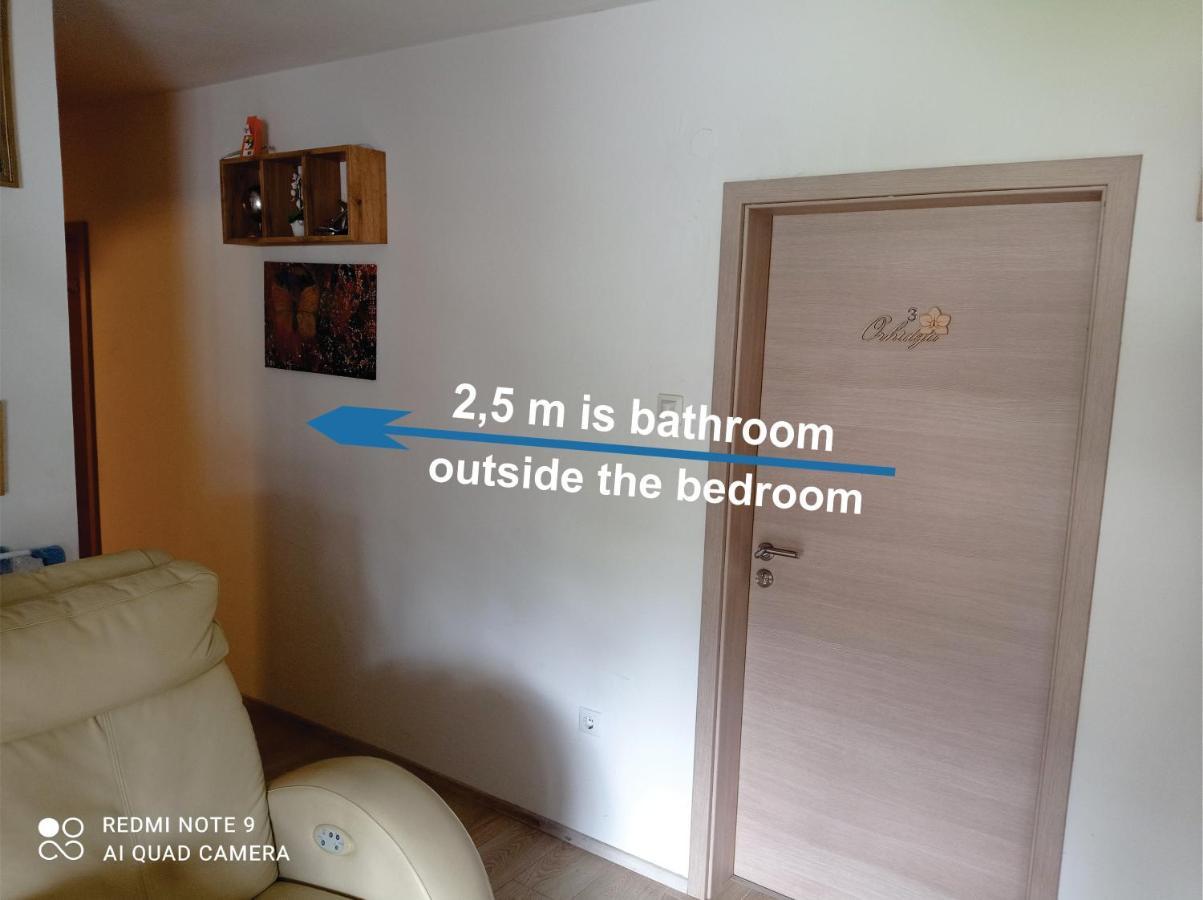 Apartments Lake Bohinj Medja Екстериор снимка